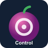 Control — A tier Blox Fruits