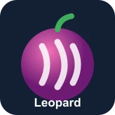 Leopard — S tier Blox Fruits